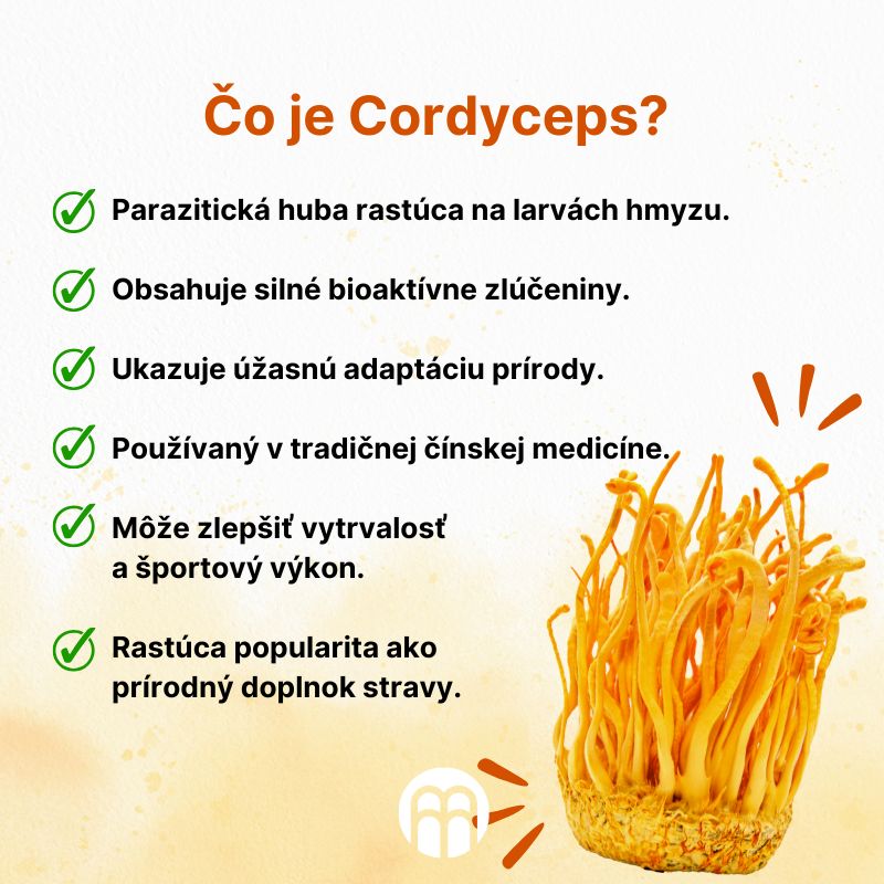 (Slovenčina) Co je Cordyceps 